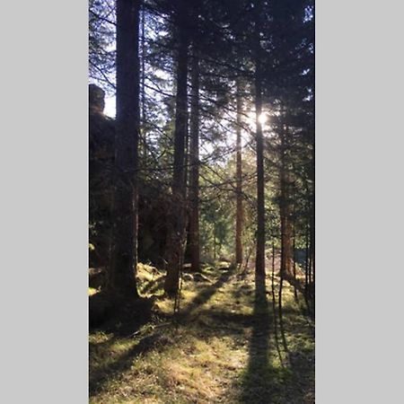 Gemütliches Ferienhaus am Waldrand Tröpolach Exterior foto